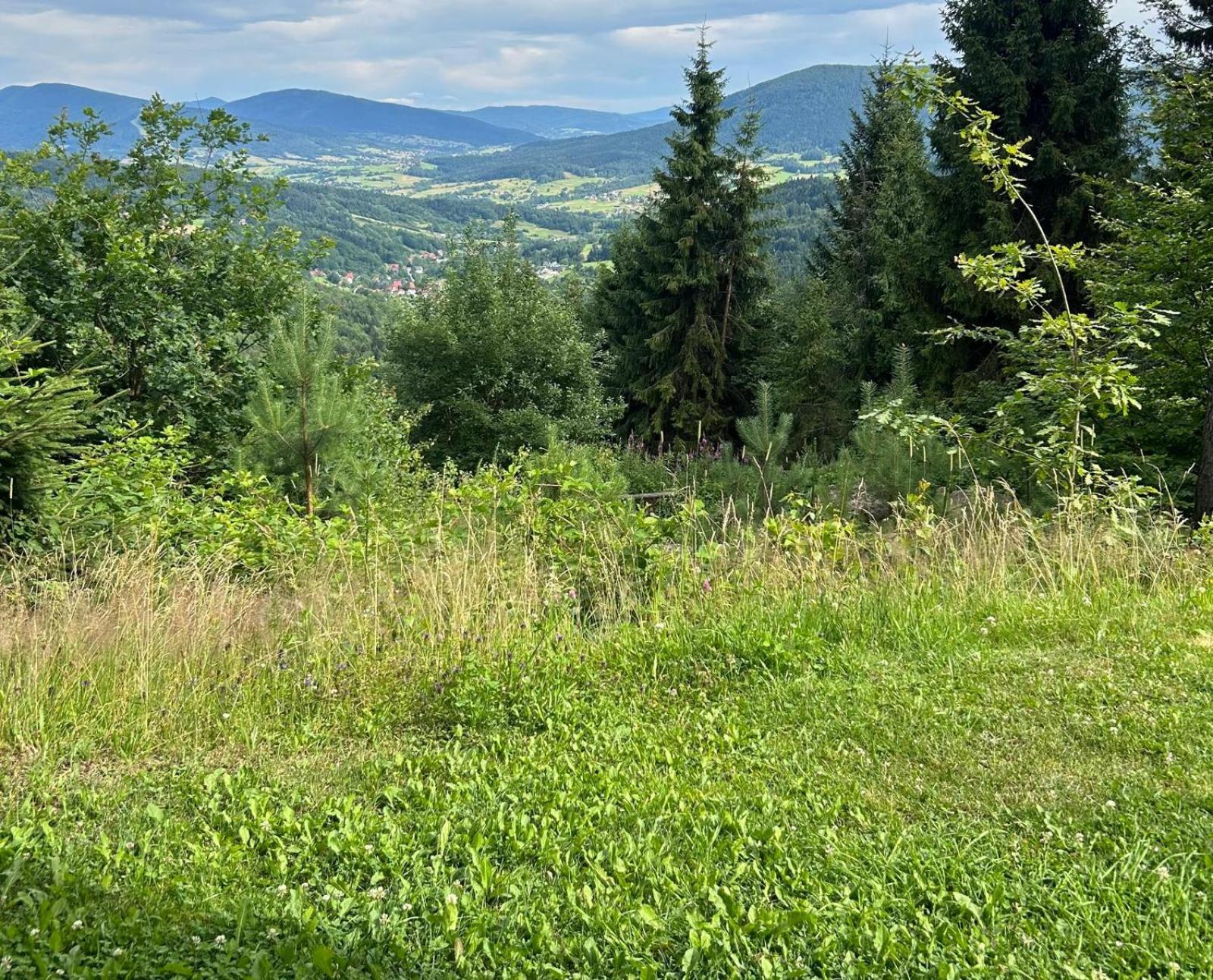 Gosciniec Pod Lubomirem Bed & Breakfast Weglowka  Bagian luar foto